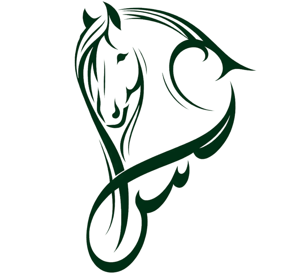 Mahnoor Sahi logo